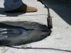Монтаж кровельной воронки HL64.1H
